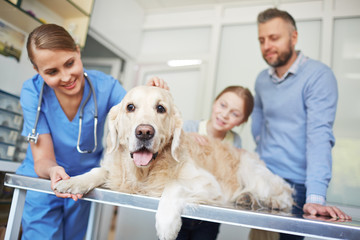 Animal Hospital
